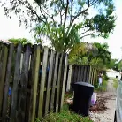 Juicy Jazzy in 'Pulled Muscle'