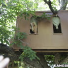 Kaci Starr in 'A Company Of 3'