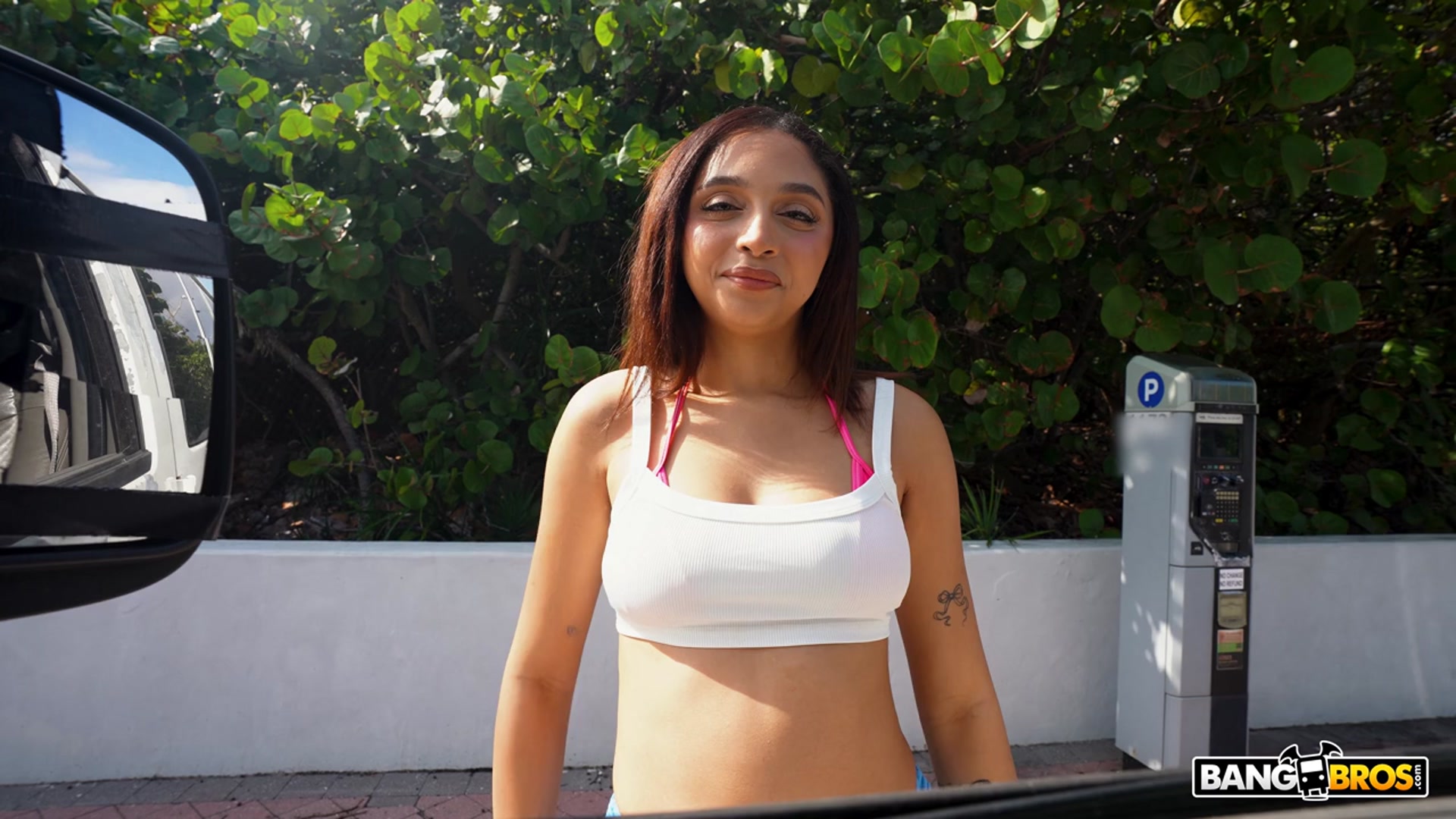 The Big White Miami Dick