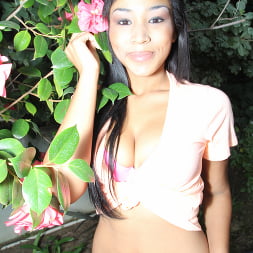 Pretty Face Hot Body Black Newbie
