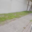 Kaylynn Keys in 'Sex Pays The Bills'