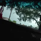 Kitty Lynn in 'We Spotted a Wild Kitty'