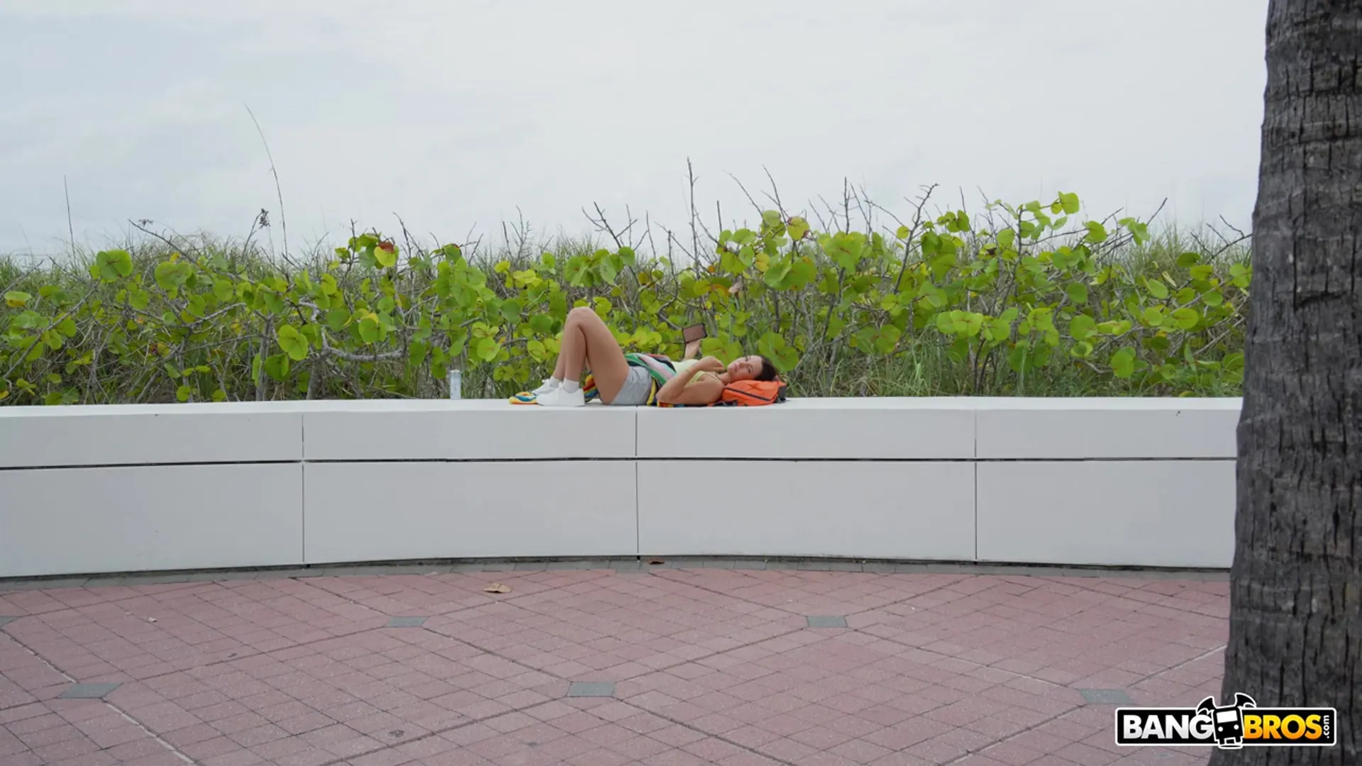 Kloe Love - Kloe Loves The Bang Bus | Picture (47)