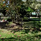 Kourtney Kai in 'Swinger on The Bus'