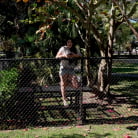 Kourtney Kai in 'Swinger on The Bus'