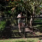 Kourtney Kai in 'Swinger on The Bus'