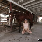 Kristy May in 'Kristy May Rides A Stallion'