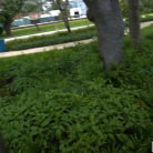 Lindsey Lakes in 'She's a Thrill Seeker'