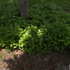 Lindsey Lakes in 'She's a Thrill Seeker'