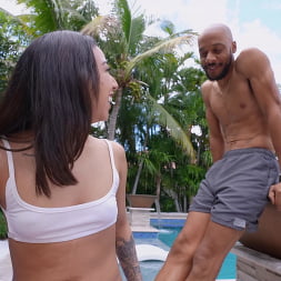 The Anaconda in his Pants