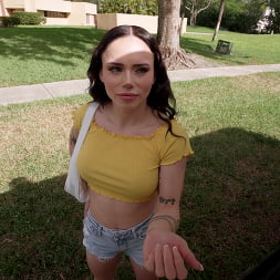 Server Does it All For Money