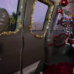 Looking for Christmas Dicks