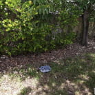 Mazy Myers in 'Fuck Me Anyway'