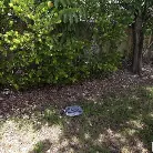 Mazy Myers in 'Fuck Me Anyway'