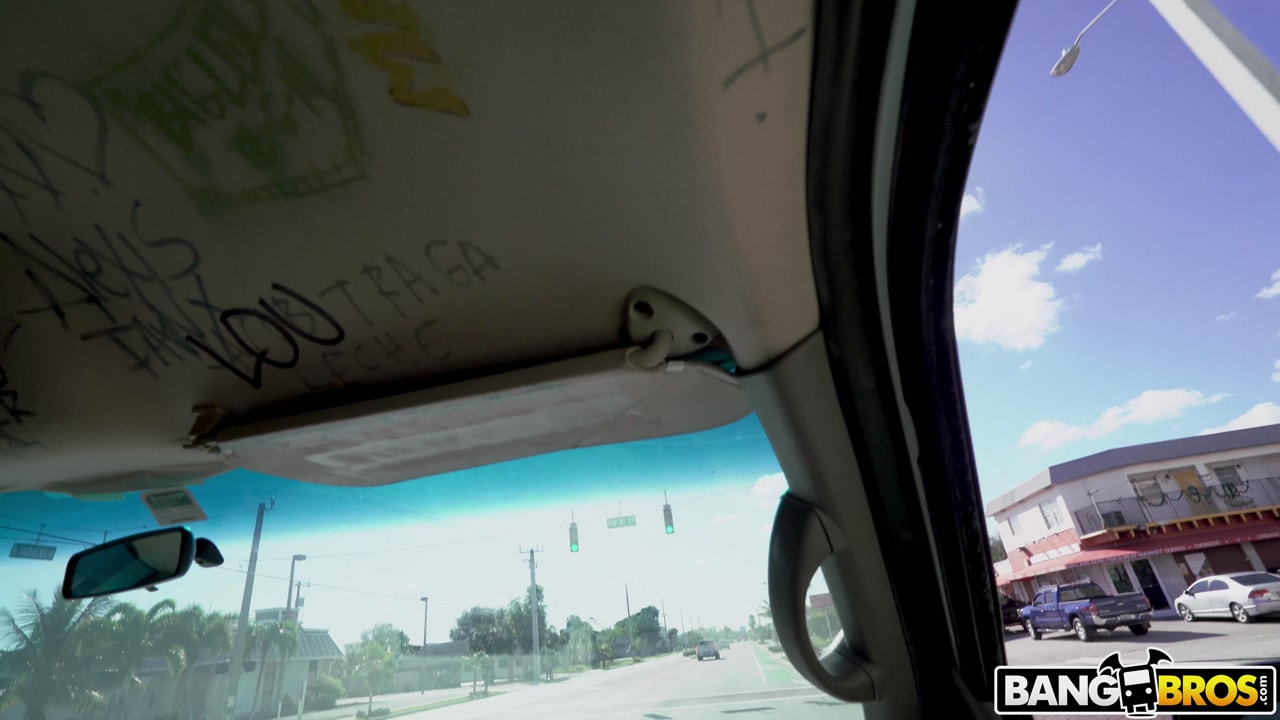 Payback is a Bitch On The Bus