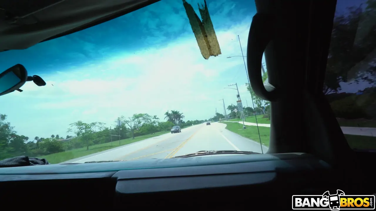 Pammy Bee - Regretted Ditching Hot Tits and Ass | Picture (1)