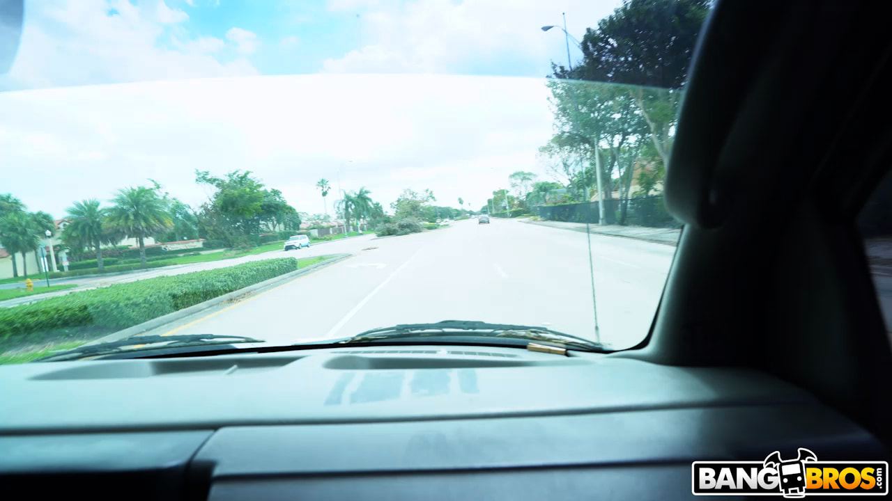 Surviving The Hurricane One Ride At A Time