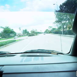 Surviving The Hurricane One Ride At A Time