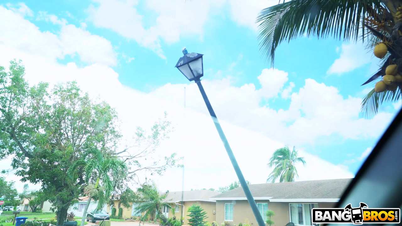 Surviving The Hurricane One Ride At A Time