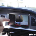 Princess in 'Princess is the Perfect Bunny'