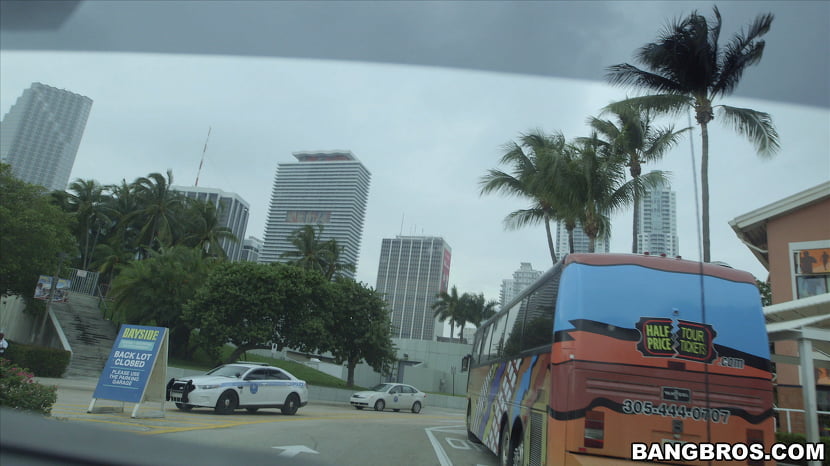 Miami Tours, The Bangbus way