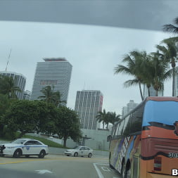 Miami Tours, The Bangbus way