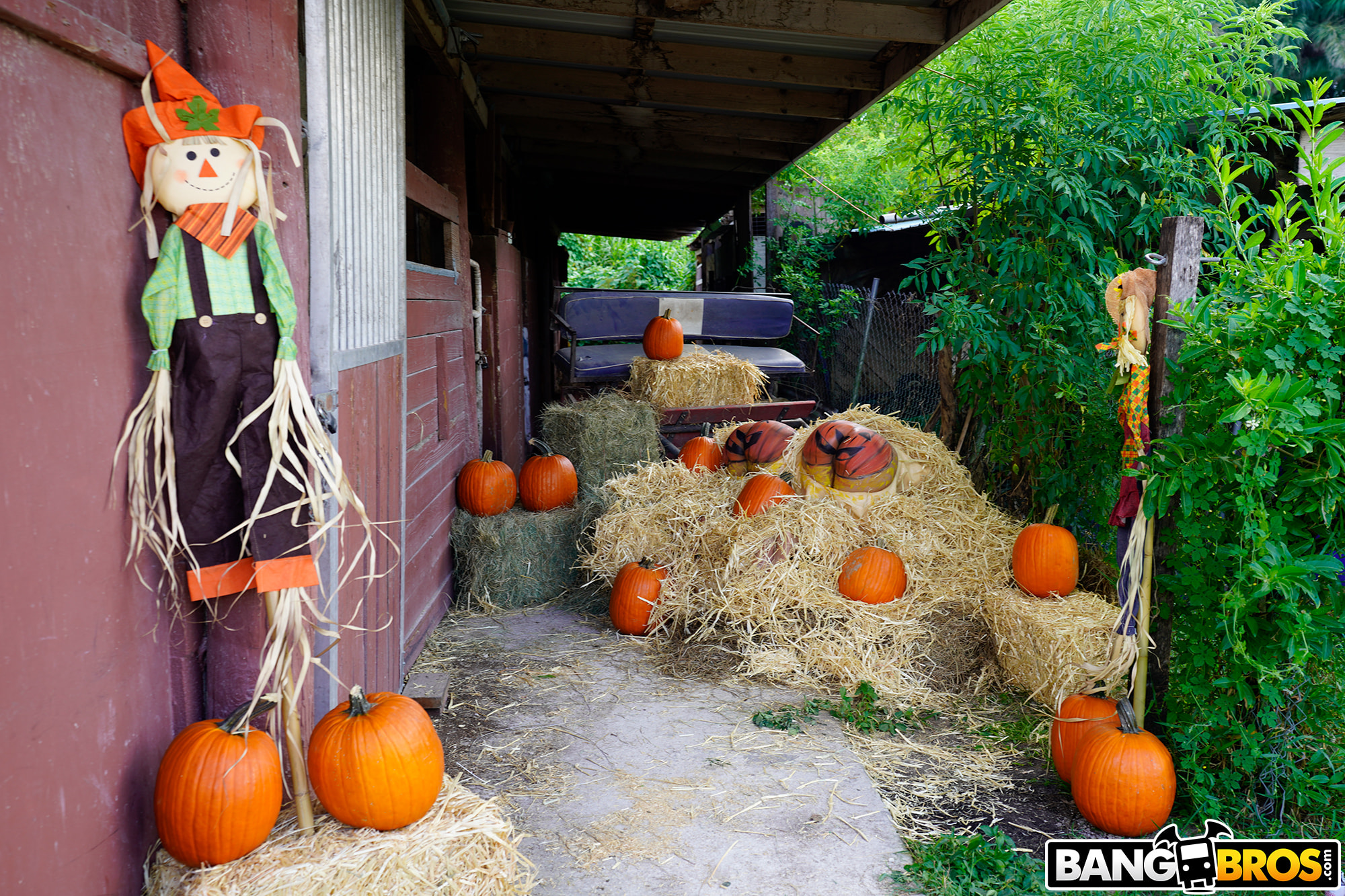 Pumpkin Booty Patch
