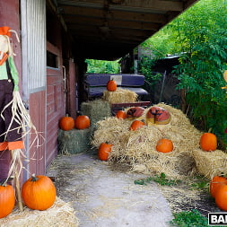 Pumpkin Booty Patch