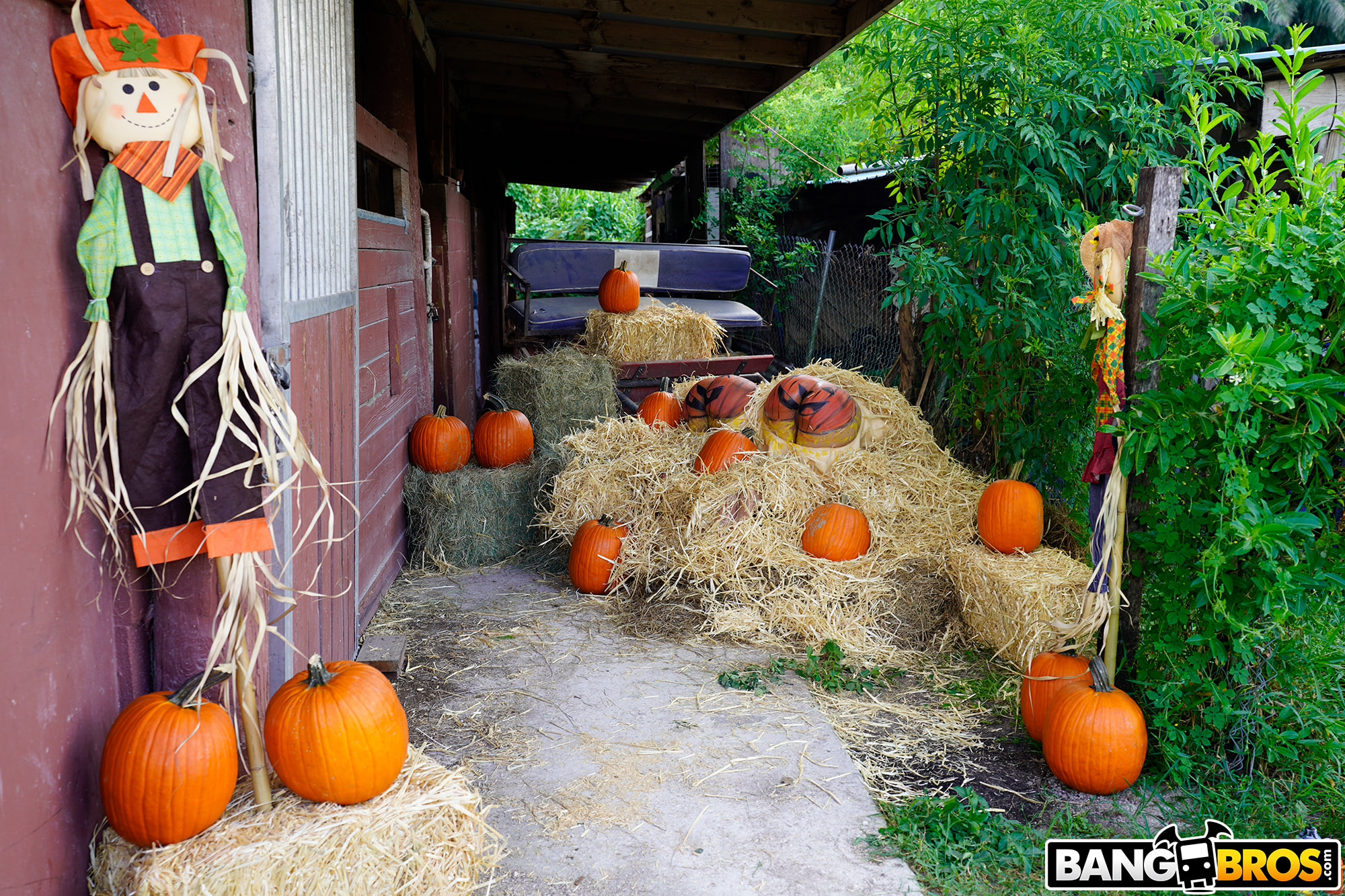 Pumpkin Booty Patch