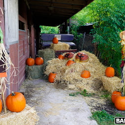 Pumpkin Booty Patch