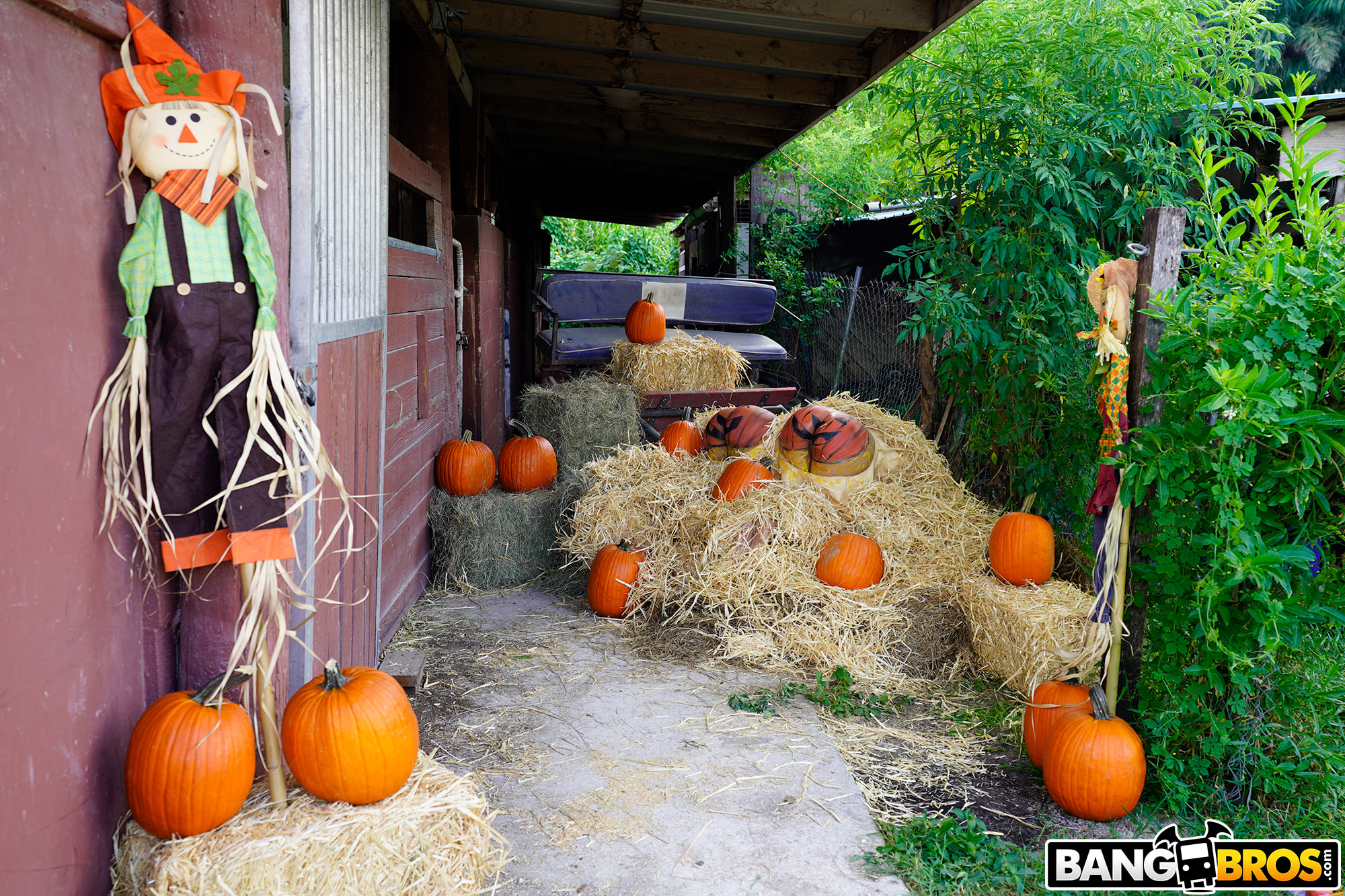 Pumpkin Booty Patch