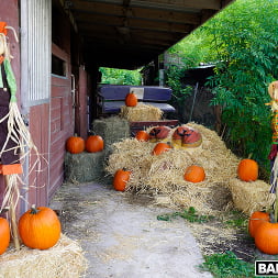 Pumpkin Booty Patch
