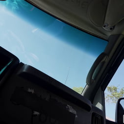 Scarlett Rides The Anal Bus