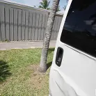 Sheem the Dream in 'I Do Enjoy Abby McCoy'