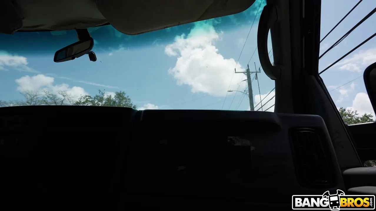 Sheem the Dream - Si el autobús se balancea | Picture (1)