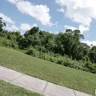 Sheem the Dream in 'Wild Girl Fucks on The Bus'