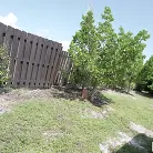 Sheem the Dream in 'Wild Girl Fucks on The Bus'