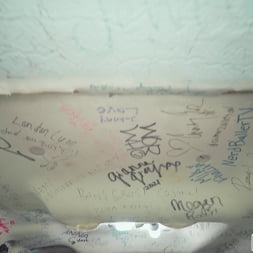 Slimthick Vic Reverse Bus!