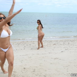 Asstastic Day At the Beach