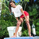 Staci Ellis in 'Dominicana With An Ass!'