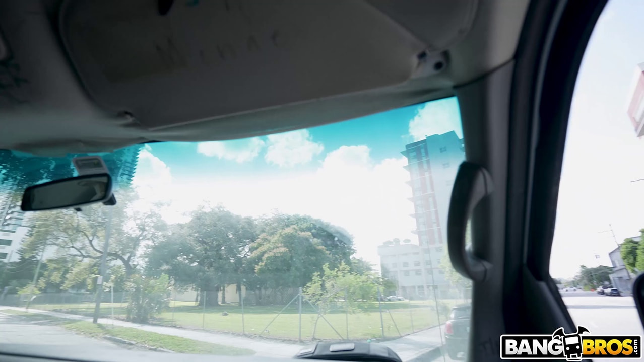 Surprise Anal on The Bus