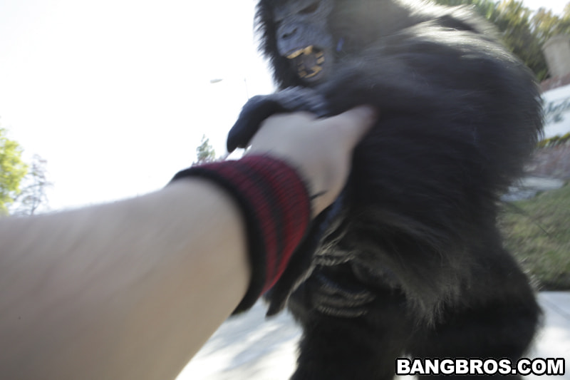 Not Monkeying Around!