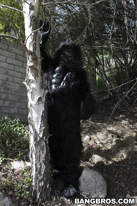 Not Monkeying Around!