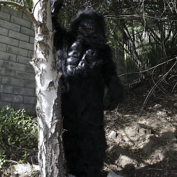 Not Monkeying Around!