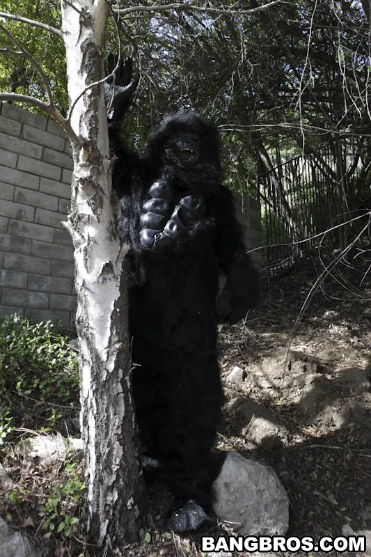 Tara Lynn Foxx - Not Monkeying Around! | Picture (682)