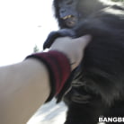 Tara Lynn Foxx in 'Not Monkeying Around!'