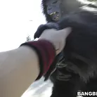 Tara Lynn Foxx in 'Not Monkeying Around!'