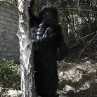 Tara Lynn Foxx in 'Not Monkeying Around!'