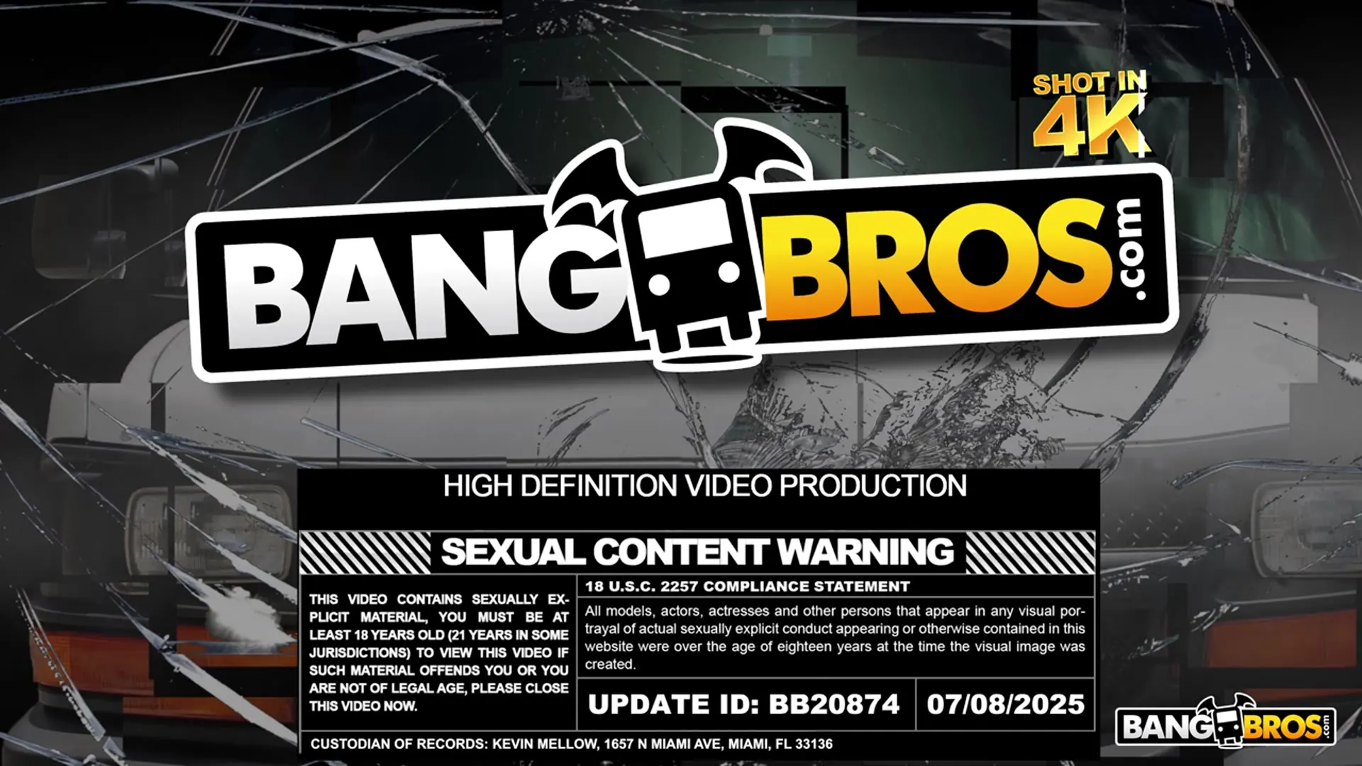 Tess Thompson - The Big Bang Bus Fan | Picture (1)