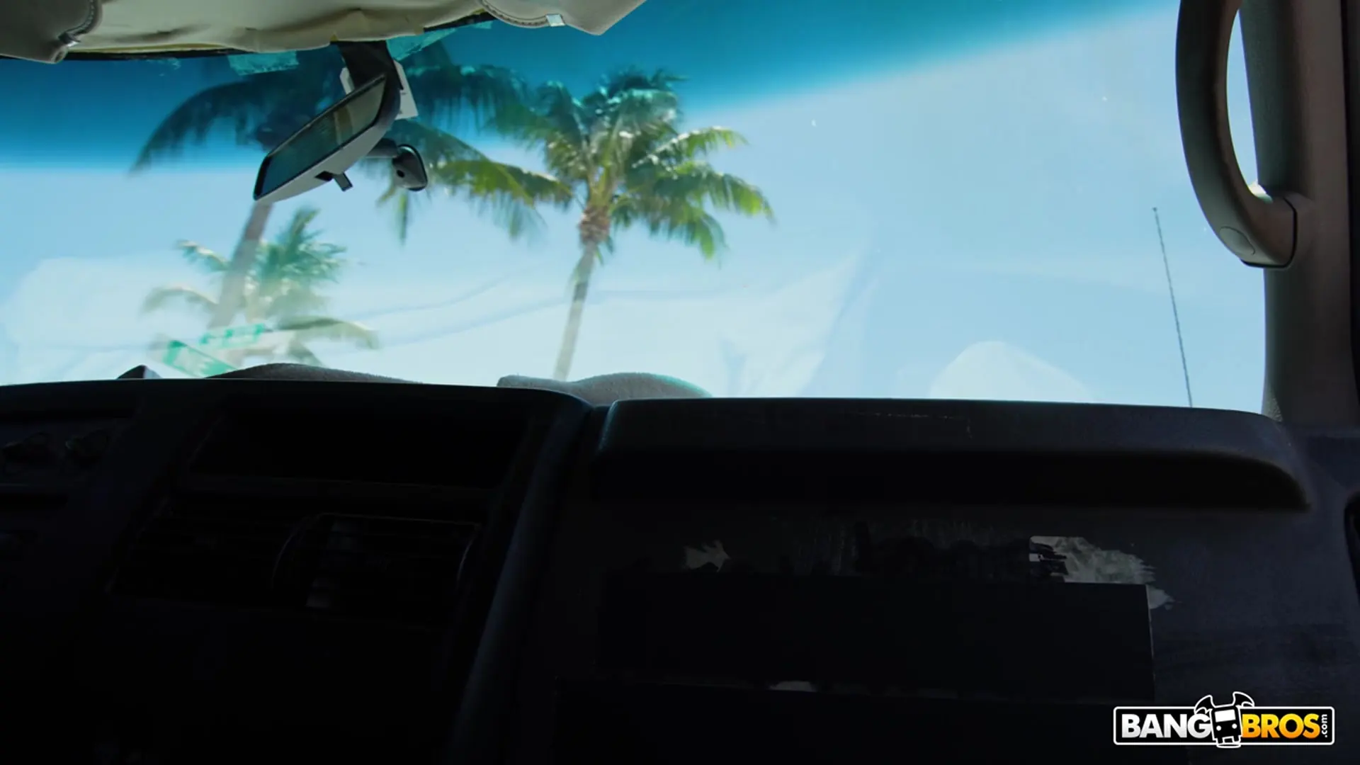 Tess Thompson - The Big Bang Bus Fan | Picture (61)